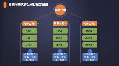農(nóng)信互聯(lián)與紅明彪集團(tuán)合作 手機(jī)軟件設(shè)計(jì)與開(kāi)發(fā)引領(lǐng)創(chuàng)新發(fā)展新模式
